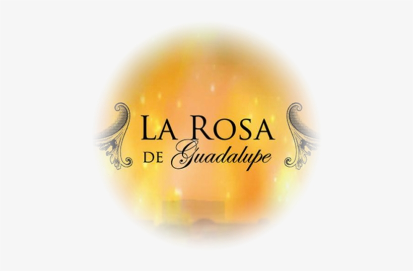 Rosa De Guadalupe, transparent png