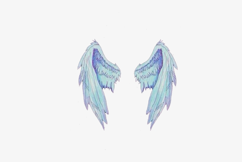 Download Angel Wings Png Tumblr Download Wings Divider For Instagram 447x484 Png Download Pngkit