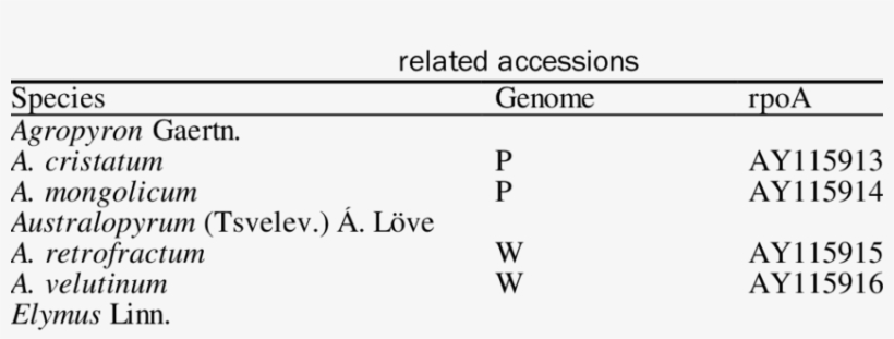 7 The Sequence Number Of Ropa In - Rna Polymerase, transparent png