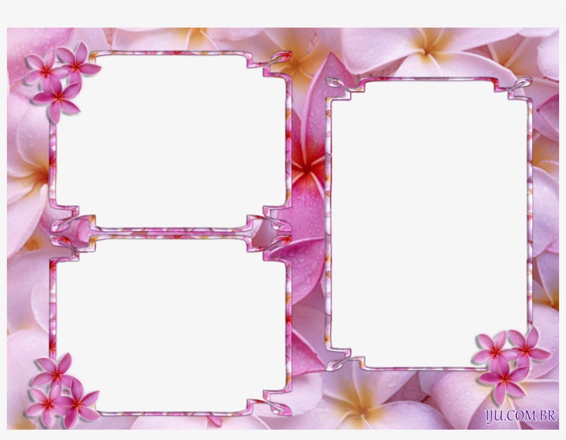 Tarlow Design Llc - Picture Frame, transparent png