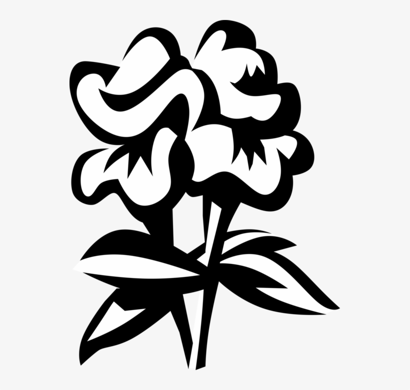 Vector Illustration Of Snapdragon Flowering Garden - Clip Art, transparent png