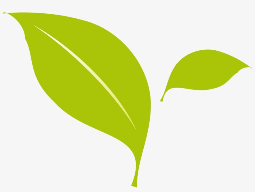 Flat Design - Leaf Flat Design Png, transparent png