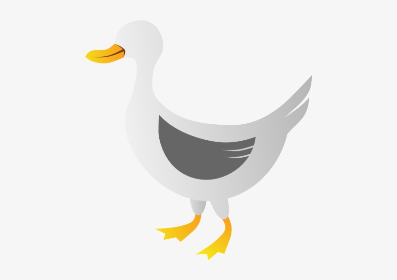 Duck Png Best Clipart - Clipart Duck Farm Animal, transparent png