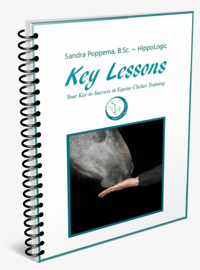 Key Lessons Your Key To Success In Equine Clicker Training - Curriculum, transparent png