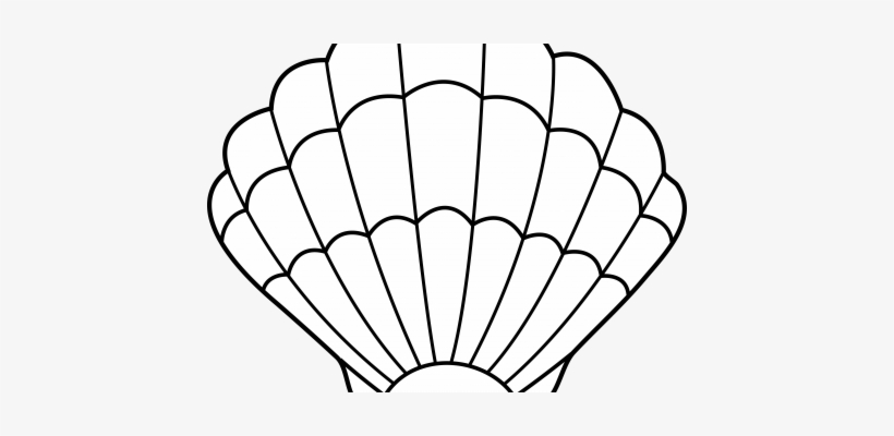 Shell Clip Art - Sea Shells Cut Out, transparent png