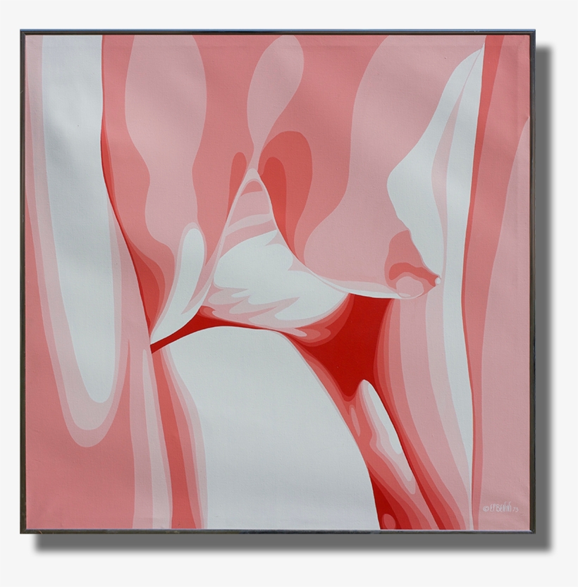 Reflections On That Magnificent Pink Nude, transparent png