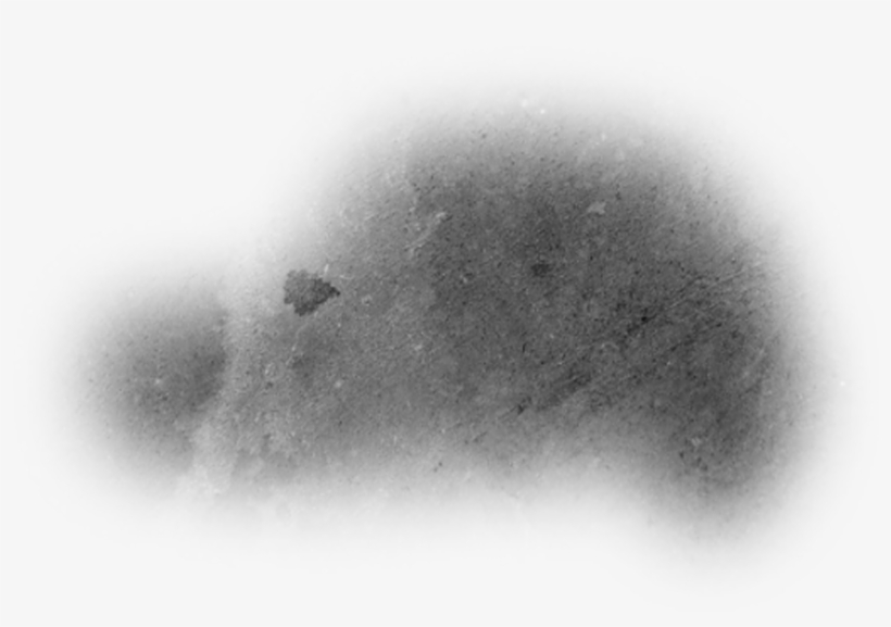 Many Cries Of The - Monochrome, transparent png