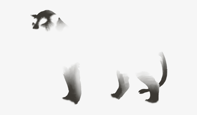 Lion, transparent png