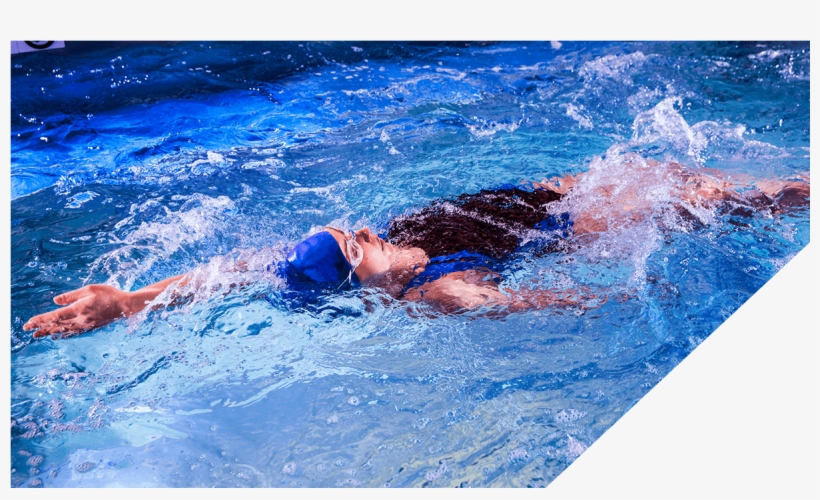 Everyone Should Feel Comfortable In The Water - Master's Degree, transparent png