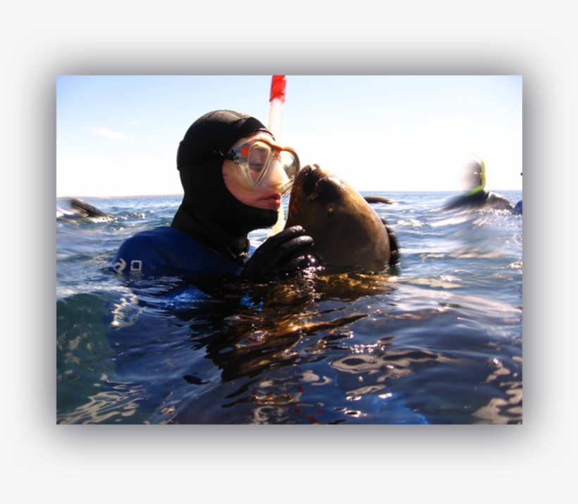 Puerto Madryn, transparent png