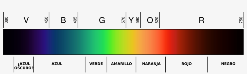Mi Visión De La Escala Cromática - Number, transparent png