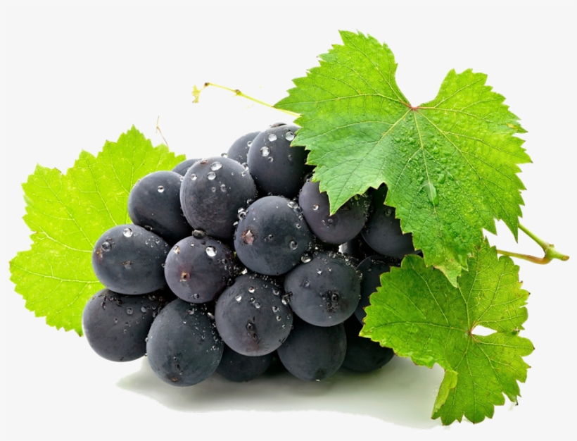 Grape Clipart Art - Aluminum Photo Panel (11"x14"), transparent png