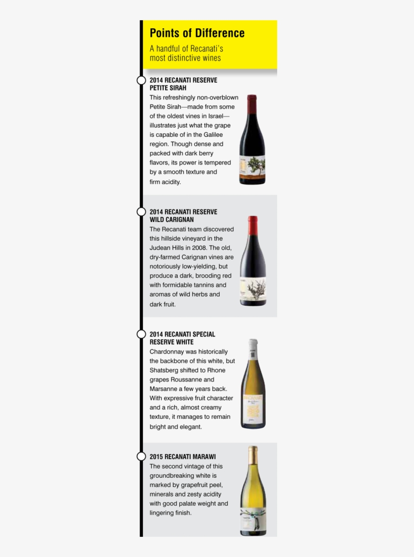 Setting The Pace For Israel's Wine Transformation, transparent png