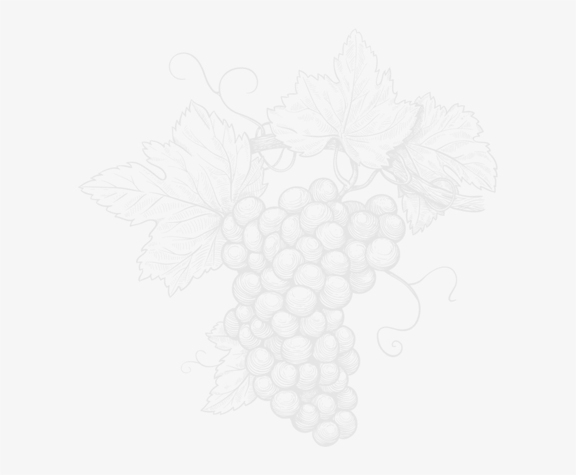 Bodegas Ponce Depaula Monastrell 2015 12 X 750ml View - Maggie Beer Paste Cabernet 100g, transparent png