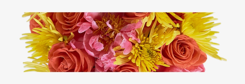 Fruity Pebbles - Common Peony, transparent png