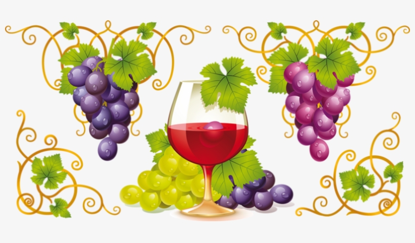 Wine Grapes Drawing, transparent png