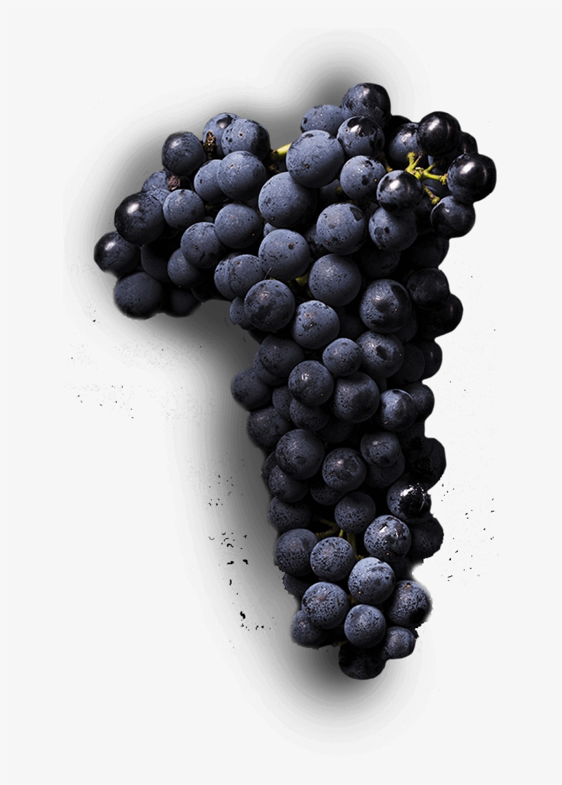 A Place We Love - Central Otago, transparent png