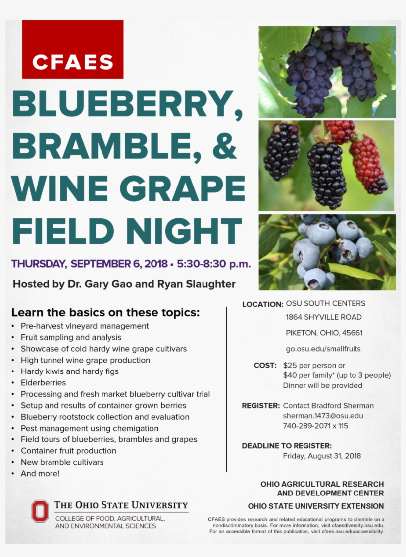 Blueberry, Bramble, & Wine Grape Field Night, transparent png