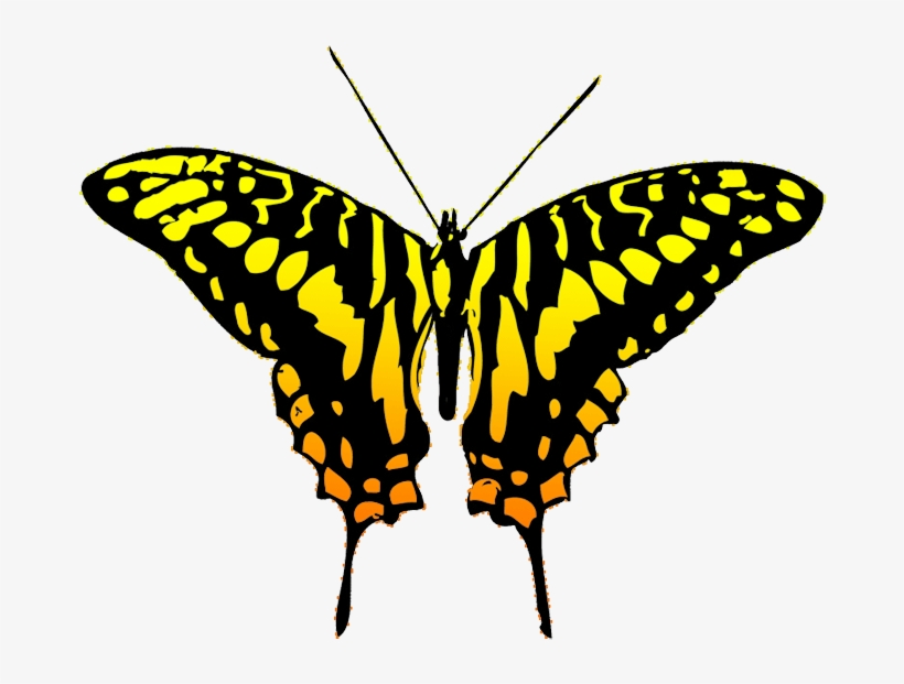 Butterfly Clipart - Black And Yellow Butterfly Clipart, transparent png
