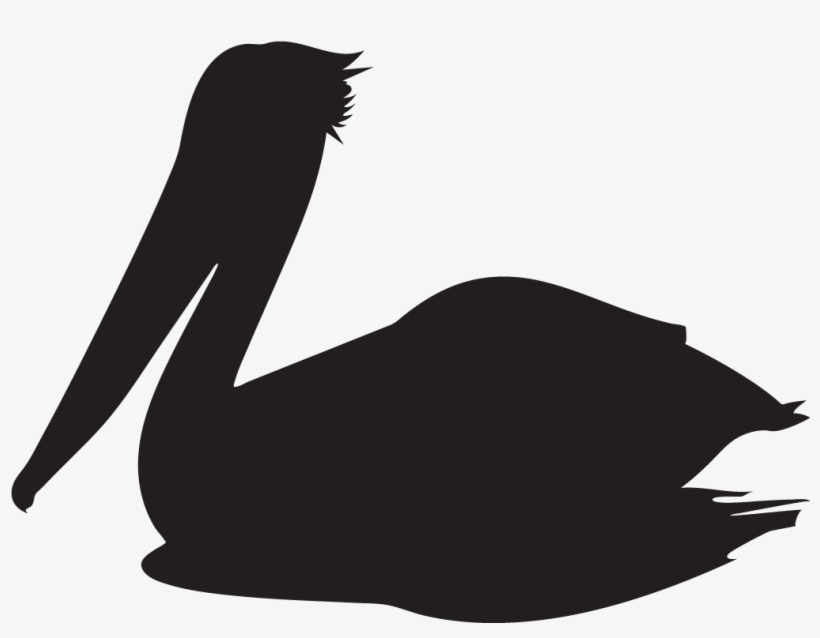 Similar Png's - - Pelican, transparent png