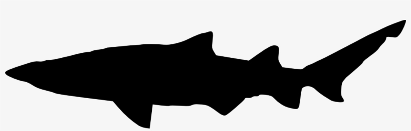 Free Png Shark Silhouette Png Images Transparent - Portable Network Graphics, transparent png