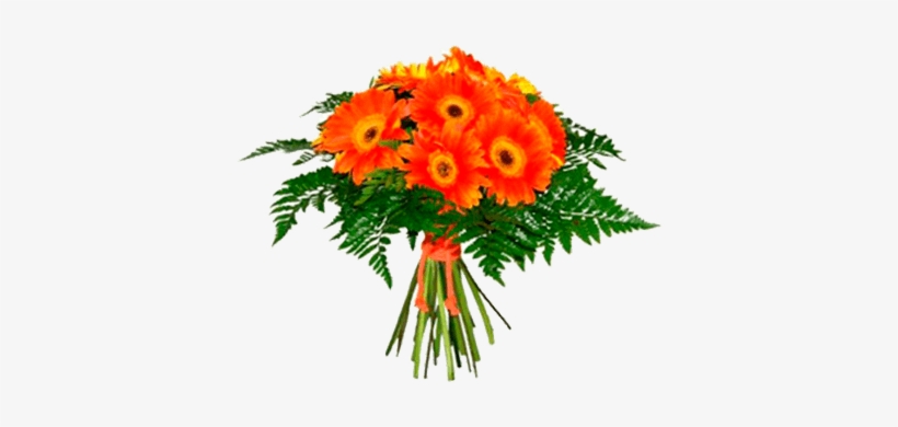 Ramo De Flores - Ramo De Gerberas, transparent png