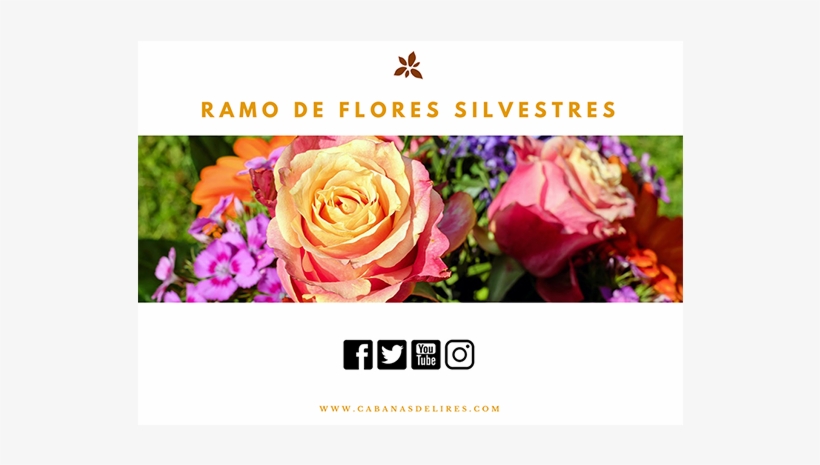 Ramo De Flores Silvestres - Flor Es Silvestres, transparent png