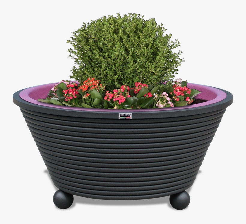 Flower Box Png, transparent png