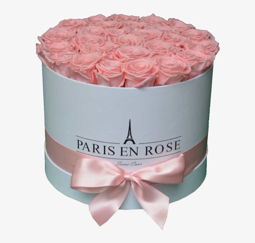 Flowerbox Rosa M - Persian Buttercup, transparent png