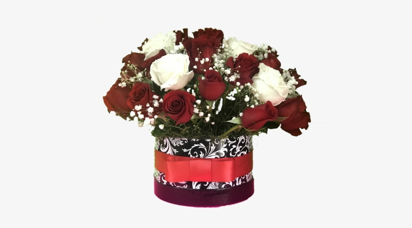 Flower Box Reda & White - Florida, transparent png