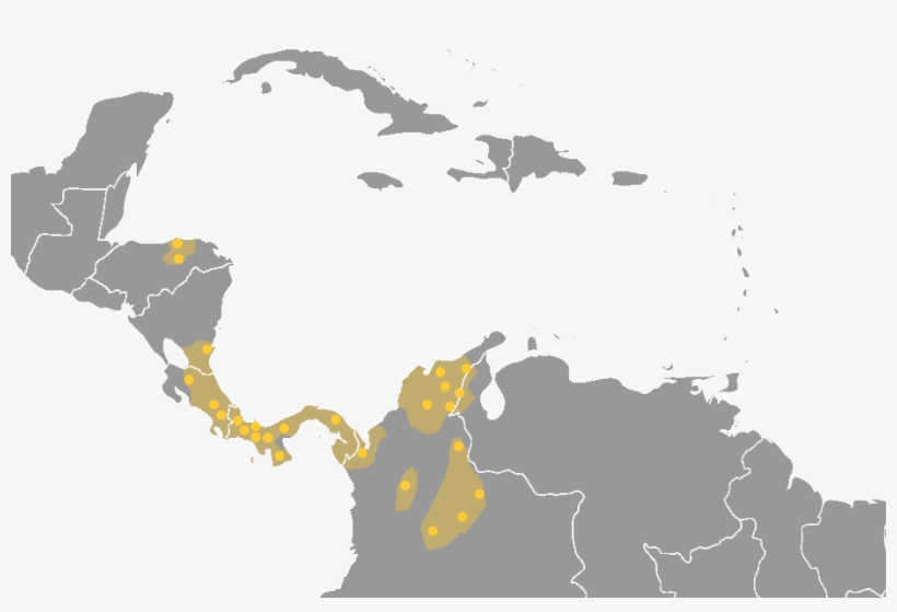 Chibchan Languages, transparent png