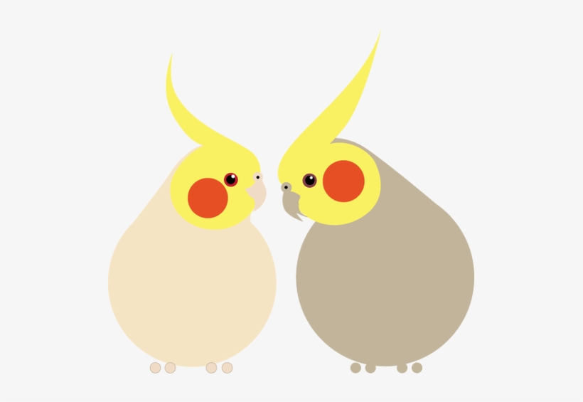 Picture - Cockatiel Color Palette, transparent png