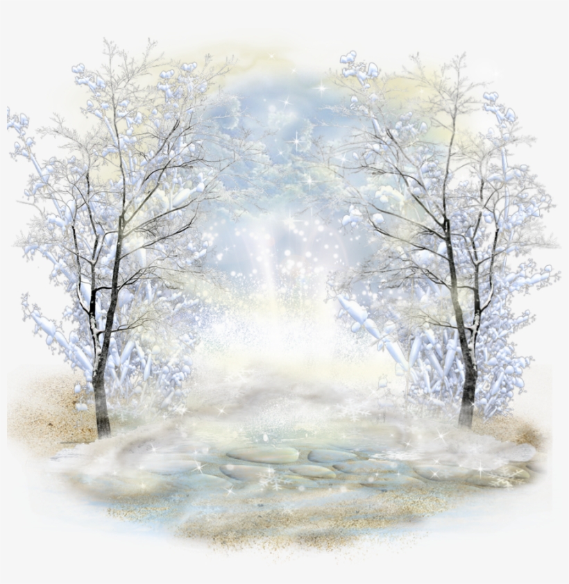 Birch, transparent png