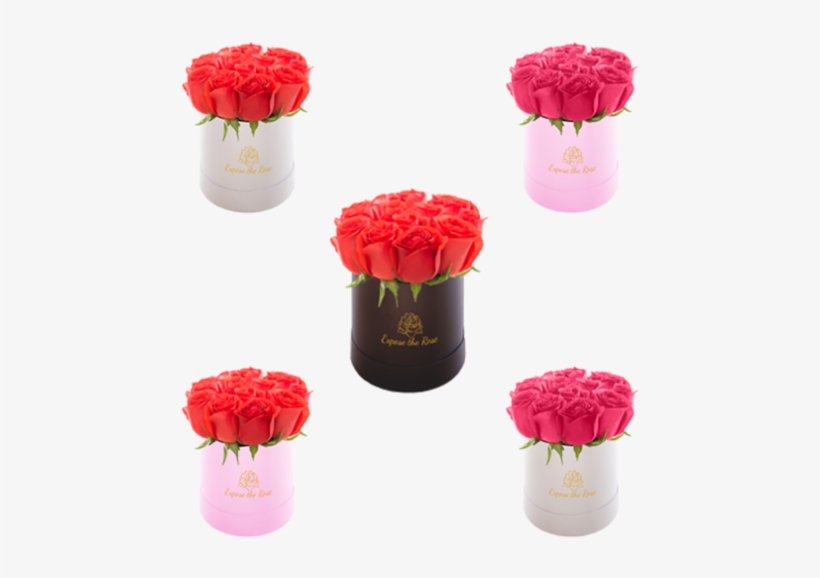 4 1 Gratis - Gift, transparent png
