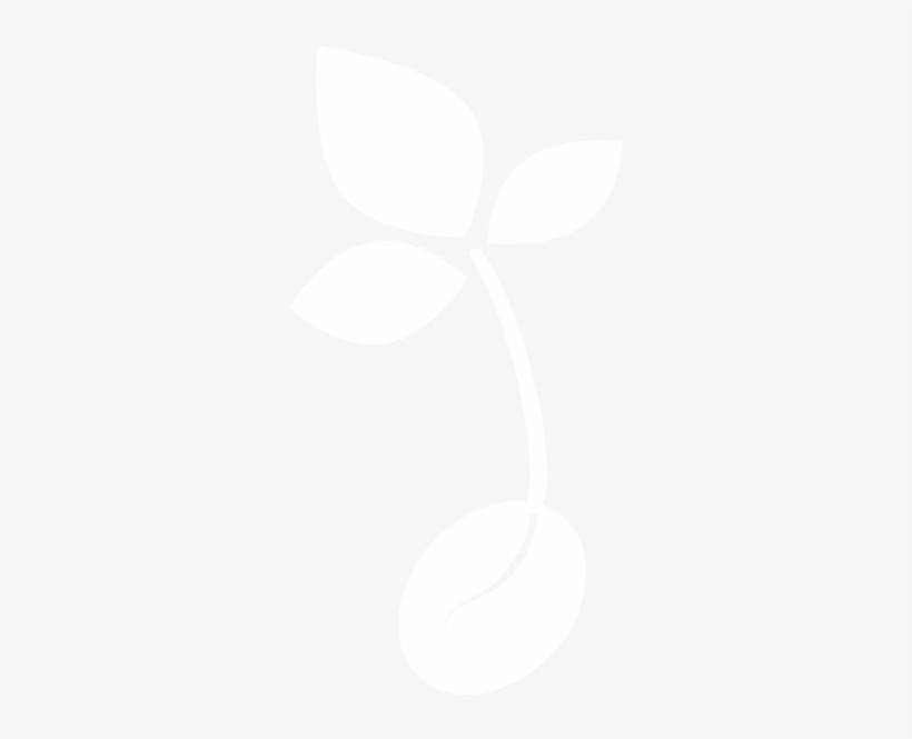 Building Opportunity - Seed White Icon Png, transparent png