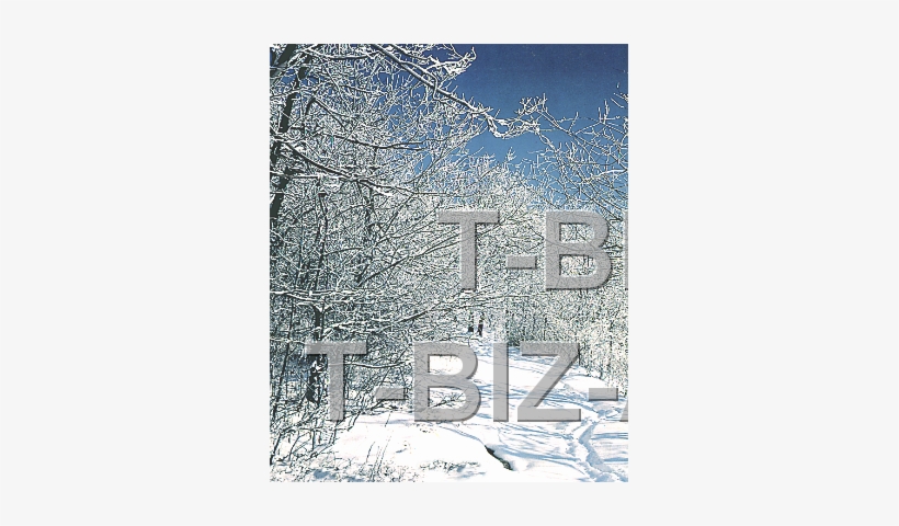 10 6040 Background Winter - Snow, transparent png