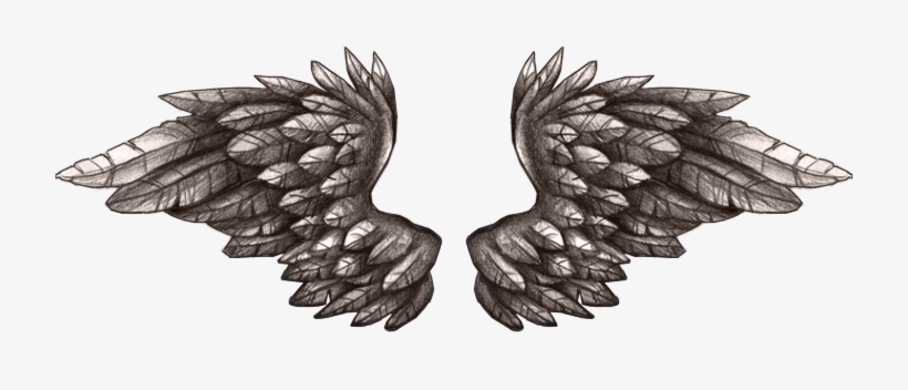 Uma Amiga Postou Essa Frase - Wings, transparent png