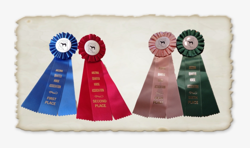 Congratulations To Glenda Roberts And Molly Fisher, - Flower, transparent png