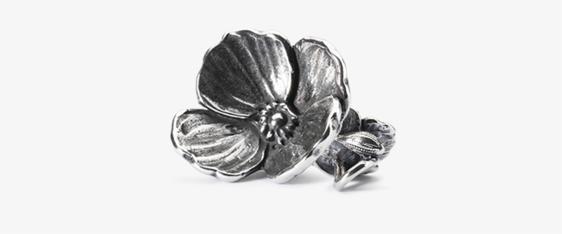 Flower Wishes Of Spring - Lovers Faith, transparent png