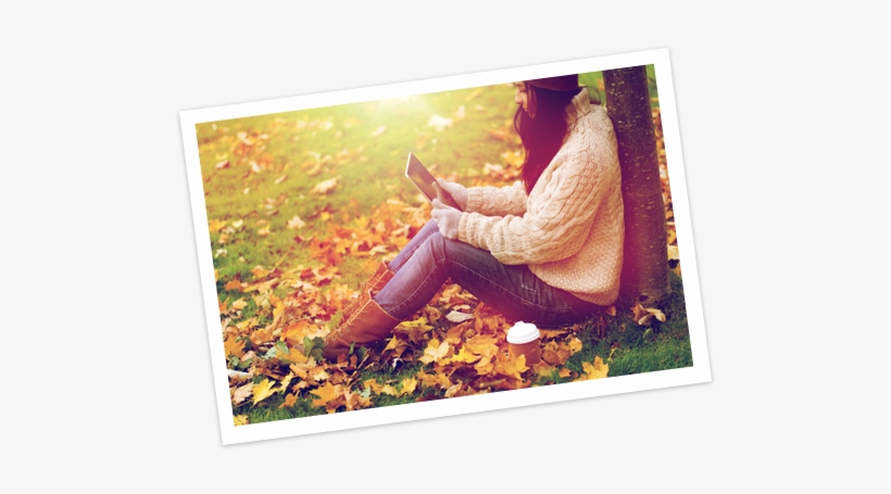 Everything You Post In The Online Mastermind Group - Picture Frame, transparent png