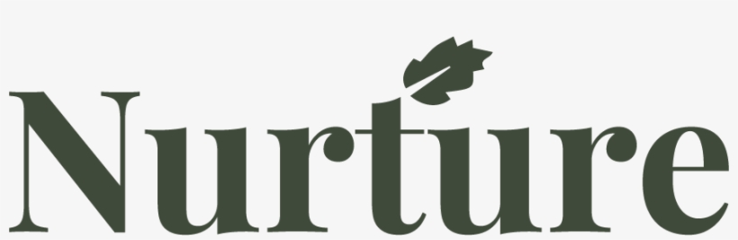 Rainbow Light - Web Design, transparent png