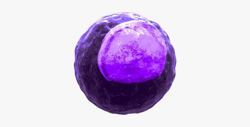 Click On A Cell To Start - Macrophages Transparent, transparent png
