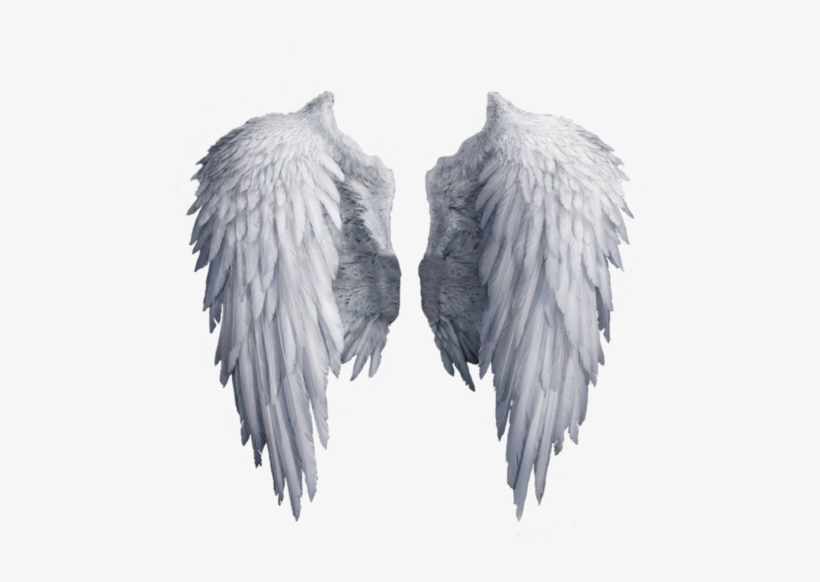 Angel, Background, And Clipart Image - Angel Wings Png, transparent png