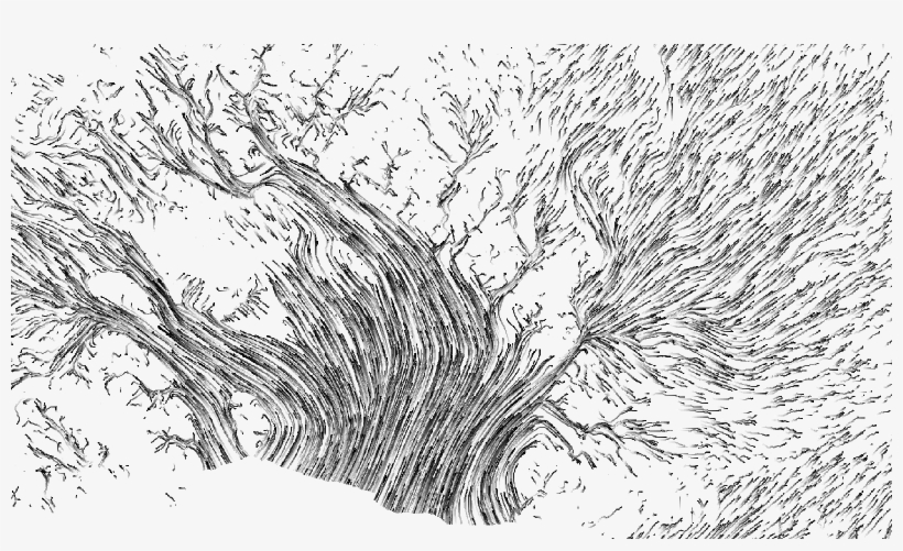 We Tend To Think Of The Continent As Static And Unchanging, - Sketch, transparent png