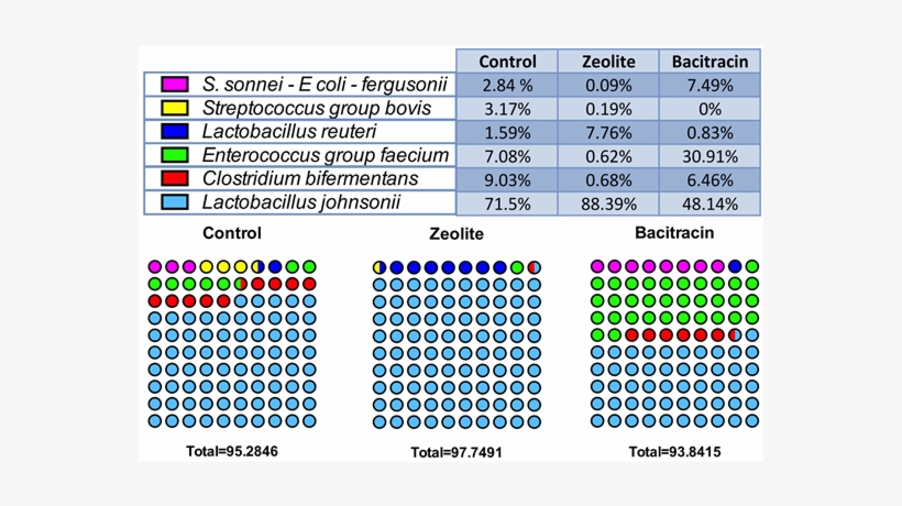 Contingency Dots Showing The Distribution Of The Species - Circle, transparent png