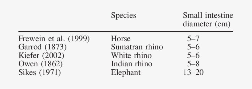 The Diameter Of The Small Intestine In Different Hindgut - Small Intestine Diameter, transparent png