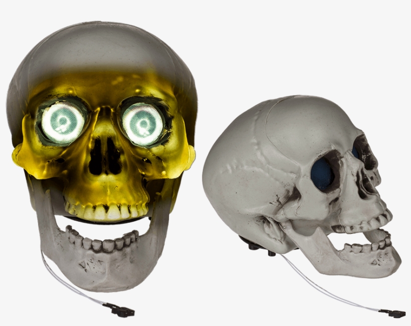 Plastic Skull With Light & Sound Ca - Plastic, transparent png