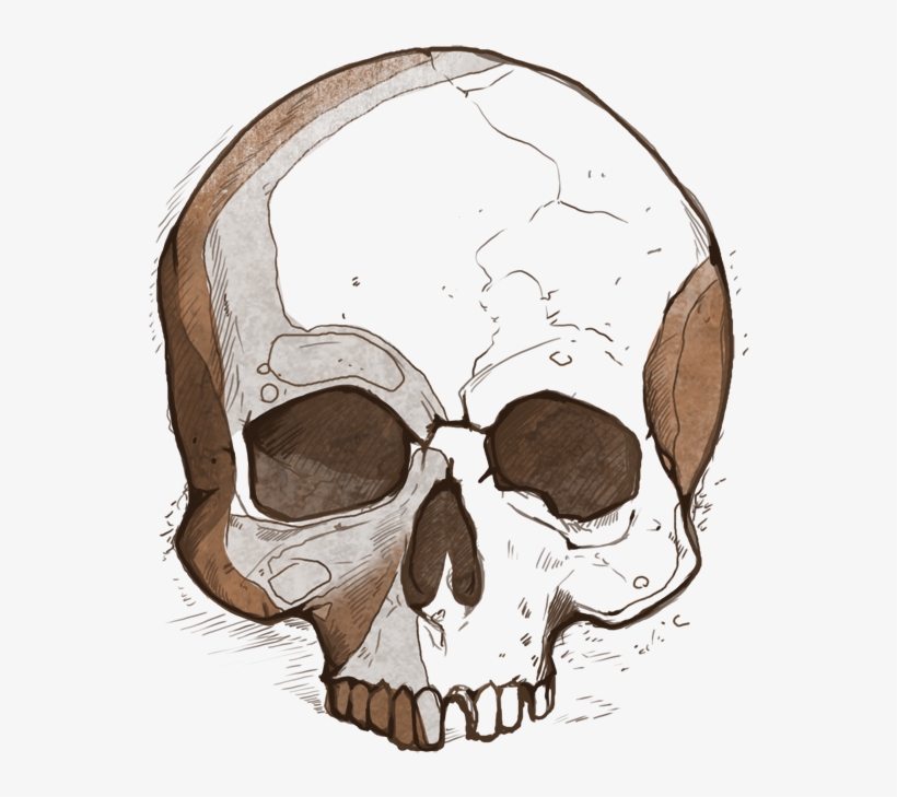 However Eternal Tyranny Offers A Different Way To Level - Skull, transparent png