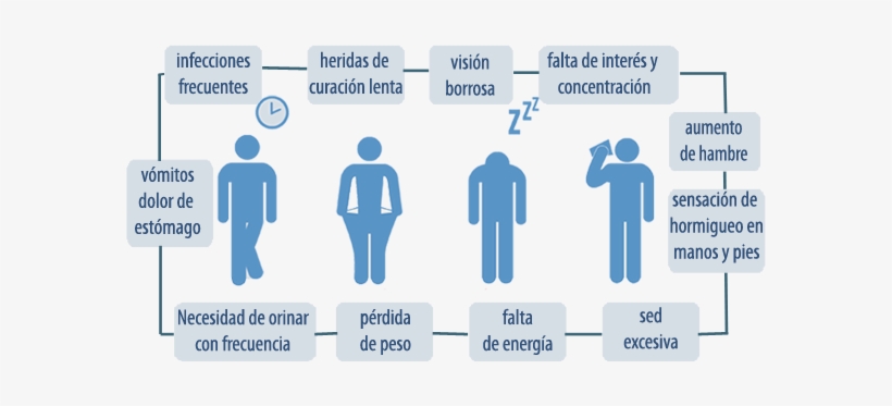 Signos Y Sintomas De La Diabetes Mellitus, transparent png