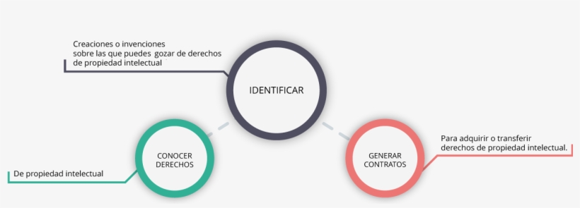 Ofrecemos Una Herramienta On Line Para El Mercado Internacional, - Circle, transparent png